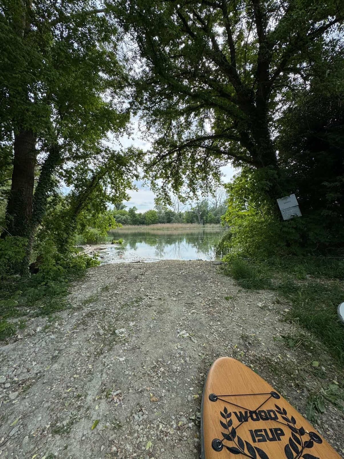 SUP board on gravel beach with tree canopy overhead and calm river stretching into the distance